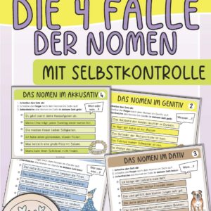 Minikartei : 4 Fälle der Nomen