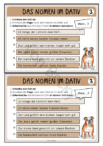 Minikartei : 4 Fälle der Nomen – Bild 4
