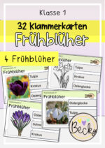 32 Klammerkarten zu 4 Frühblühern