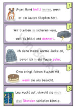 Übungen mit Satzstreifen (Set 5) – Bild 2