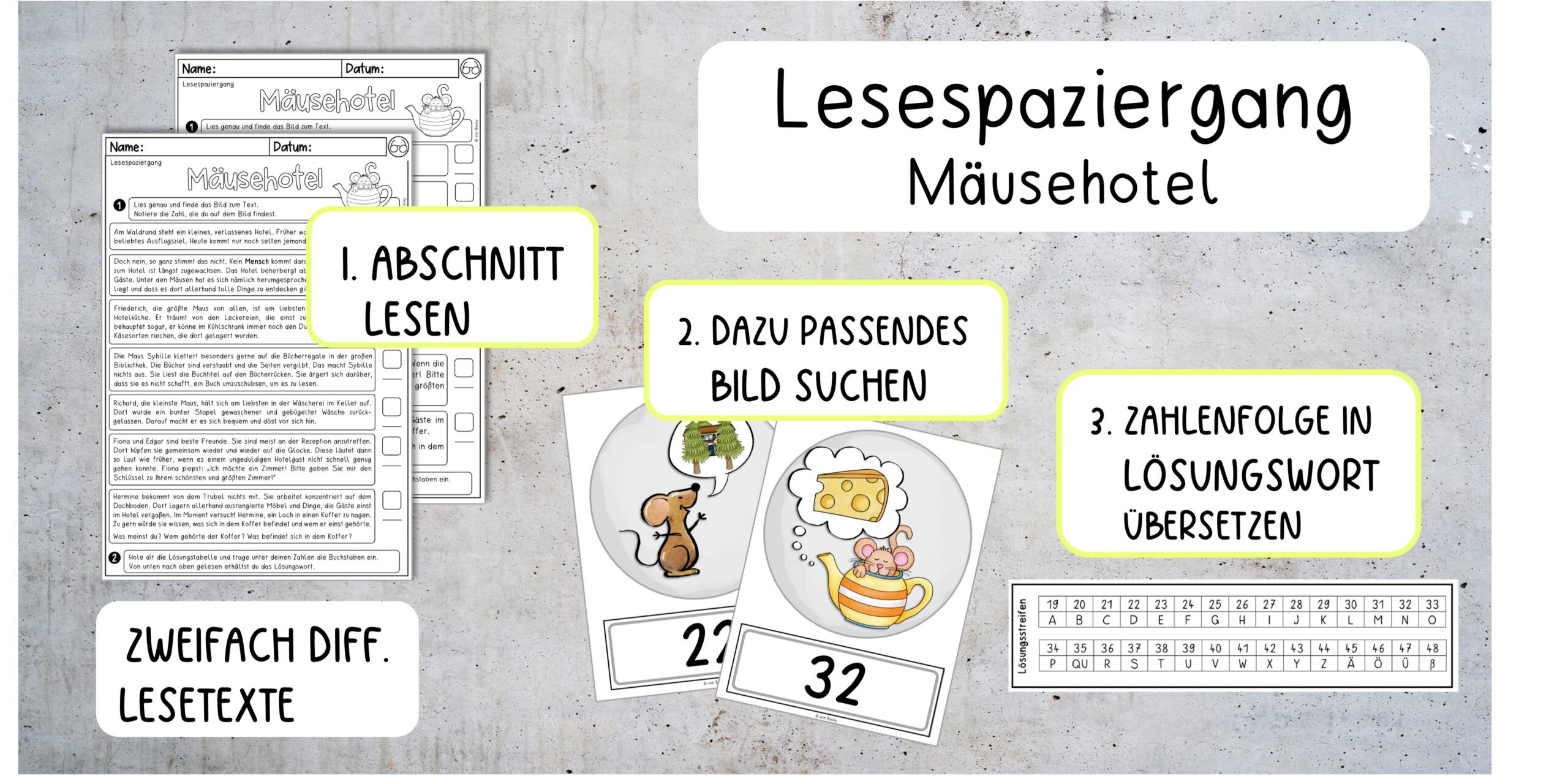 blog lesespaziergang scaled