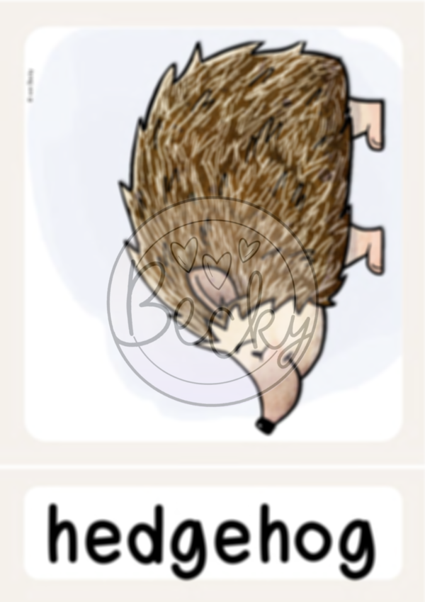 Wort-, Bildkarten Herbst (Autumn Flashcards) – Bild 3