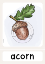 Wort-, Bildkarten Herbst (Autumn Flashcards) – Bild 4