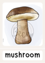 Wort-, Bildkarten Herbst (Autumn Flashcards) – Bild 5