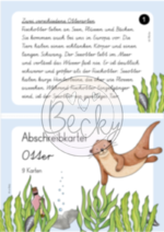 Abschreibkartei Otter (9 Karten je in VA, LA, SAS und GS) – Bild 3
