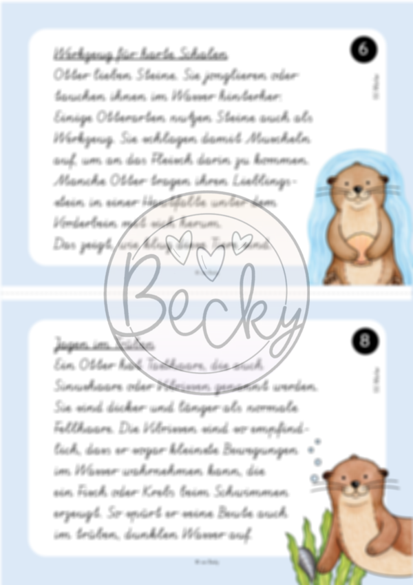 Abschreibkartei Otter (9 Karten je in VA, LA, SAS und GS) – Bild 4