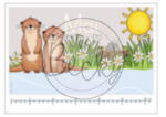 Geburtstagskalender Otter – Bild 5