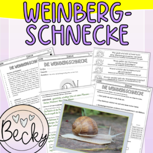 db weinbergschnecke lesekombi.pdf cover 1