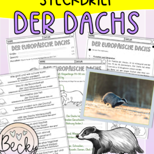 db dachs steckbrief.pdf cover 1