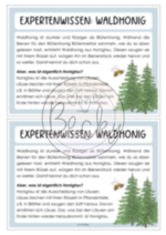 Lesekonferenz Honig / Bienen (Sachtext mit Fragen zum Text) – Bild 6