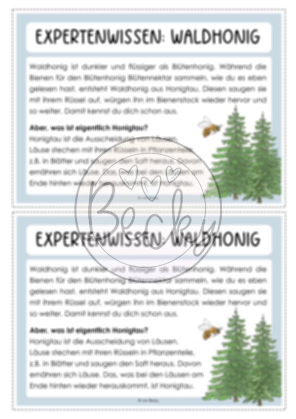 Lesekonferenz Honig / Bienen (Sachtext mit Fragen zum Text) – Bild 6