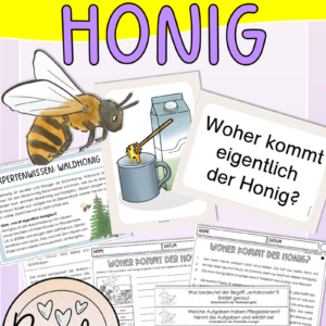 Lesekonferenz Honig / Bienen (Sachtext mit Fragen zum Text)