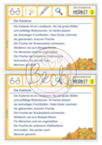Abschreibkartei Herbst (3-fach Differenziert mit Zusatzaufgaben) – Bild 5