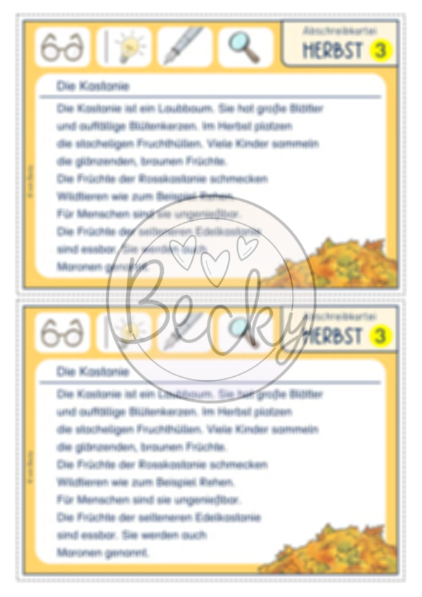 Abschreibkartei Herbst (3-fach Differenziert mit Zusatzaufgaben) – Bild 5