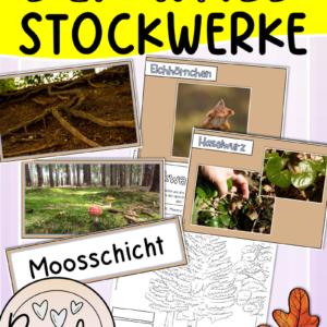 db wald stockwerke.pdf cover 1
