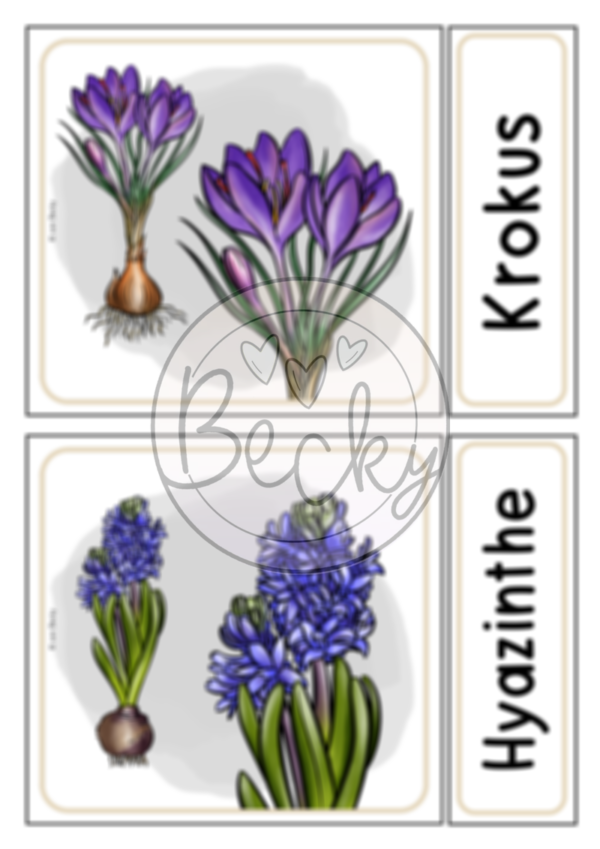 Leseheft Frühling (6 Lesetexte mit Fragen) – Bild 8