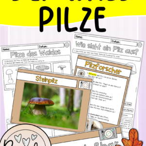 db wald pilze.pdf cover 1