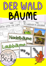 Wald (Bäume, Laubbäume, Nadelbäume)