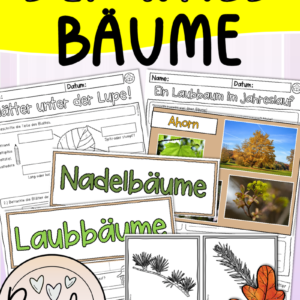 Wald (Bäume, Laubbäume, Nadelbäume)