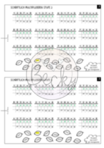 Schriftliche Multiplikation Übungsheft – Bild 6